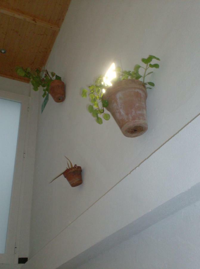 Rocio Rooms 埃尔罗西奥 外观 照片